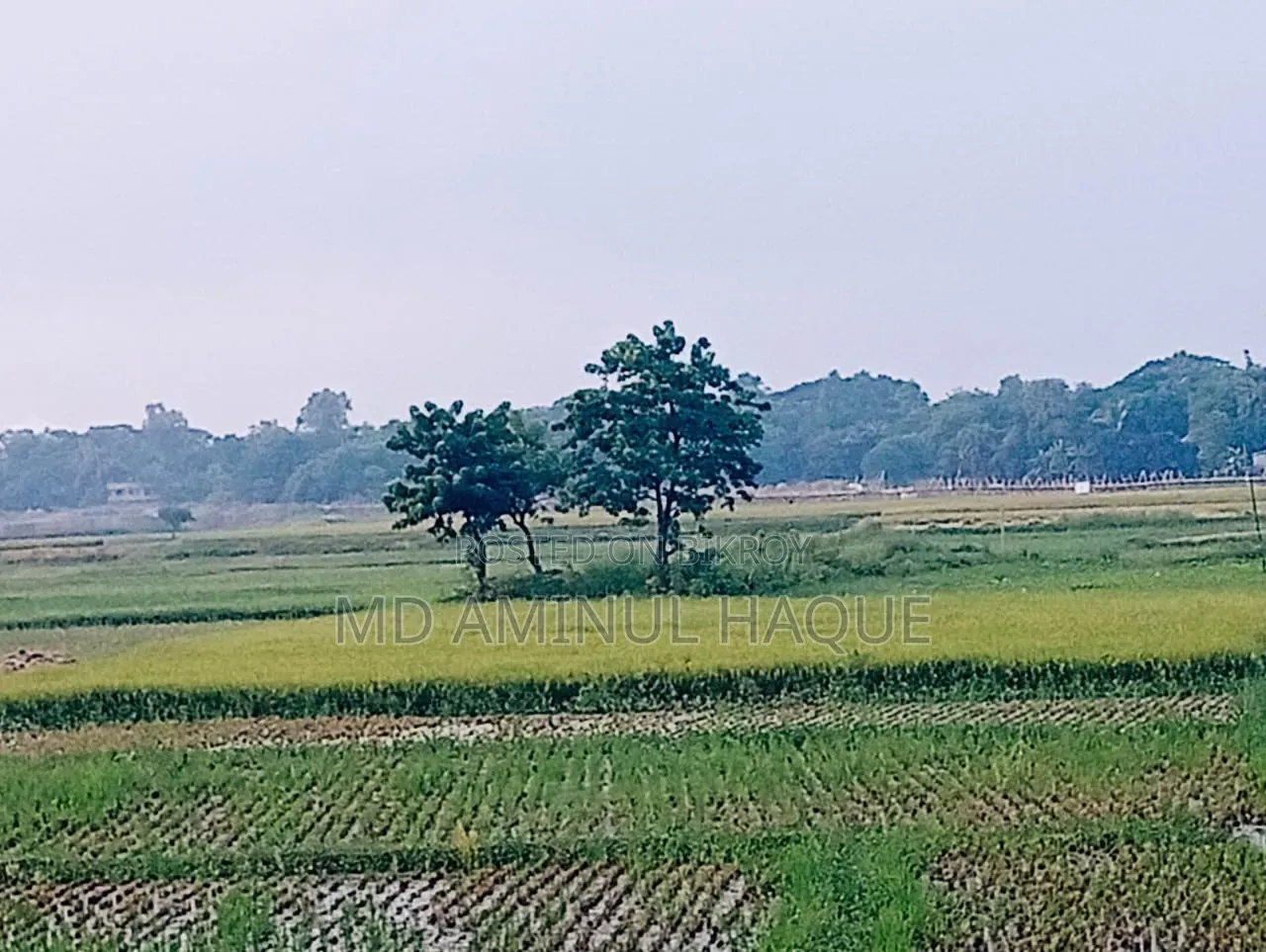 Residential Land for Sale