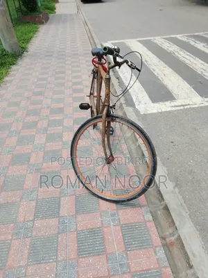 Cicle for Sel