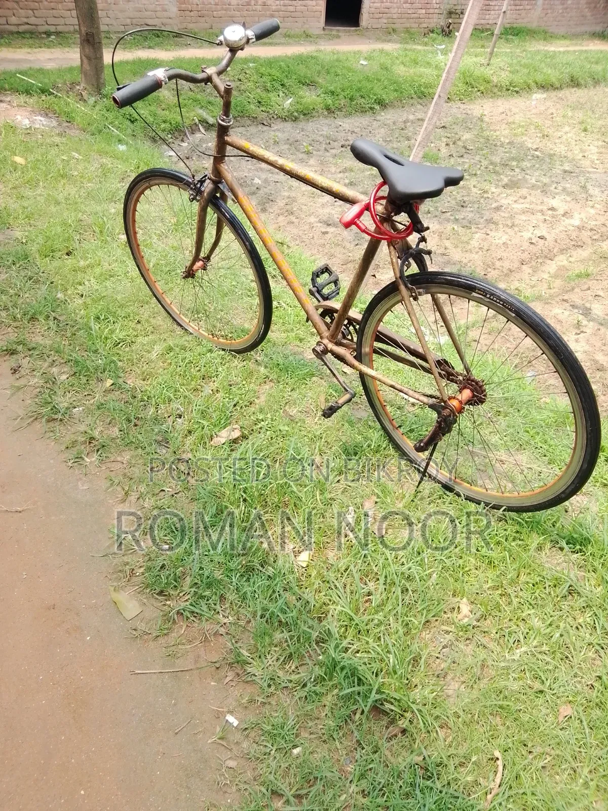 Cicle for Sel