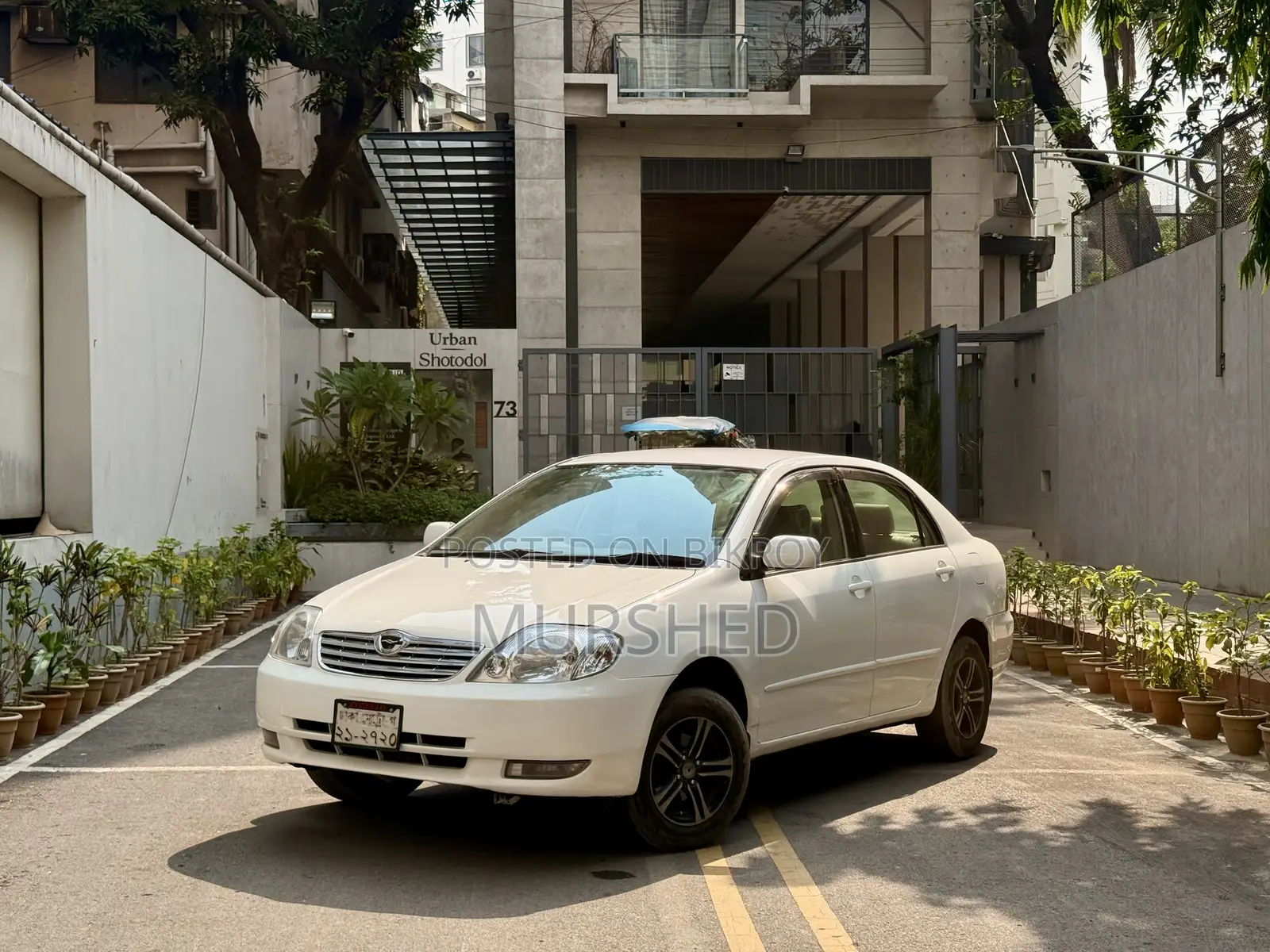 Toyota Corolla Sedan 2003 White
