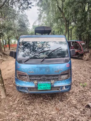 Pickup Truck for Sale