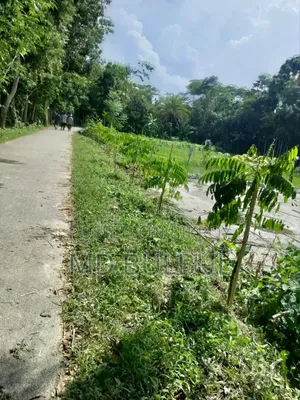 ১০ শতাংশ খালি জমি ভাড়া হবে