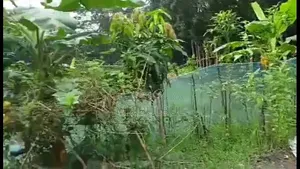 10 Decimal Vacant Plot For Rent