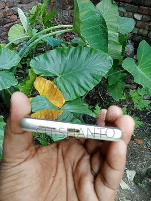 Google Pixel 7 ১২৮ জিবি সাদা