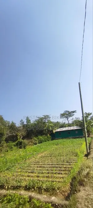 4 Gonda 2 Kranti Land for Sale in Anwara