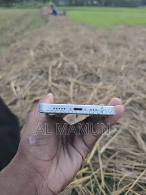 Apple iPhone 13 128 GB White