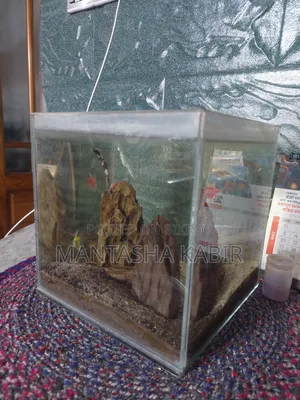 অ্যাকোয়ারিয়াম বিক্রির জন্য