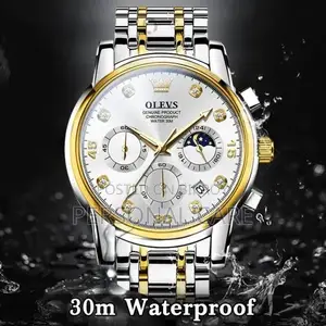 Olevs 2889 Quartz Stainless Steel Strap Watch for Men