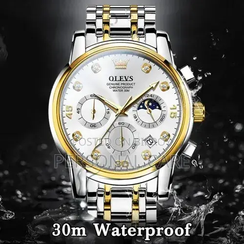 Olevs 2889 Quartz Stainless Steel Strap Watch for Men