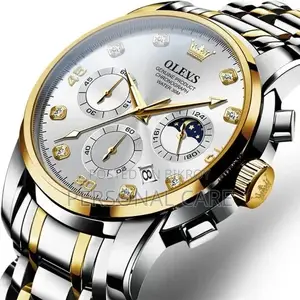 Olevs 2889 Quartz Stainless Steel Strap Watch for Men