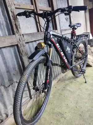 Electric Cycle With Side Motor