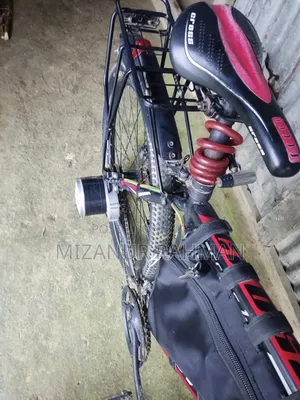 Electric Cycle With Side Motor