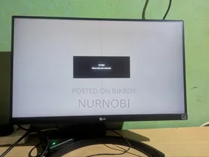 Lg Monitor 22mk