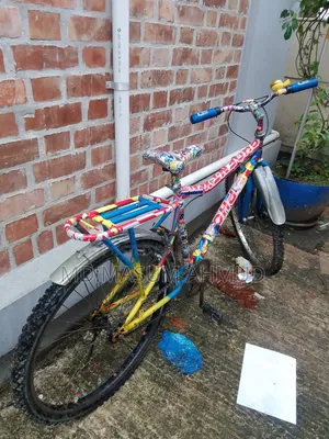 Check Out This Bicycle, It Is in Perfect Condition