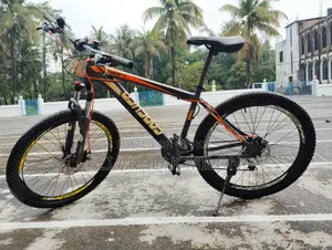 Forever Cycle (Bicycle)