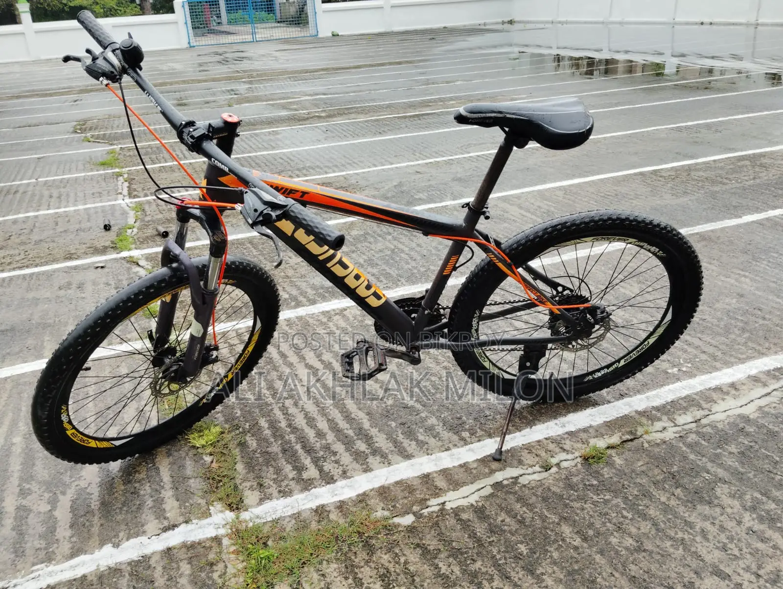 Forever Cycle (Bicycle)