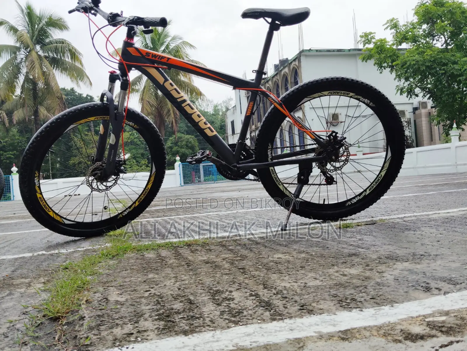 Forever Cycle (Bicycle)