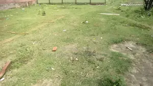 N Block 5 Katha South Face Plot Urgent Sell in Bashundhara R A
