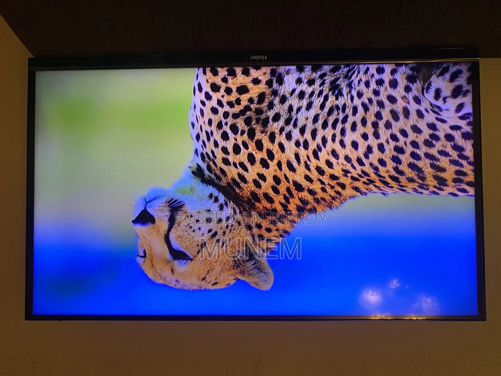Haier 43” FHD Google Smart Tv