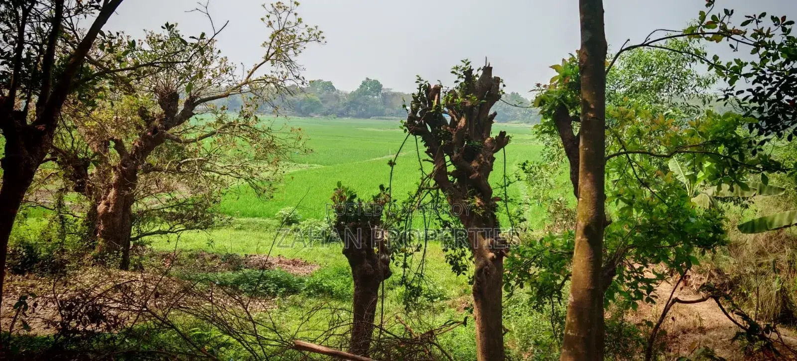 Bashundhara N Block 06 Kata Plot Sell