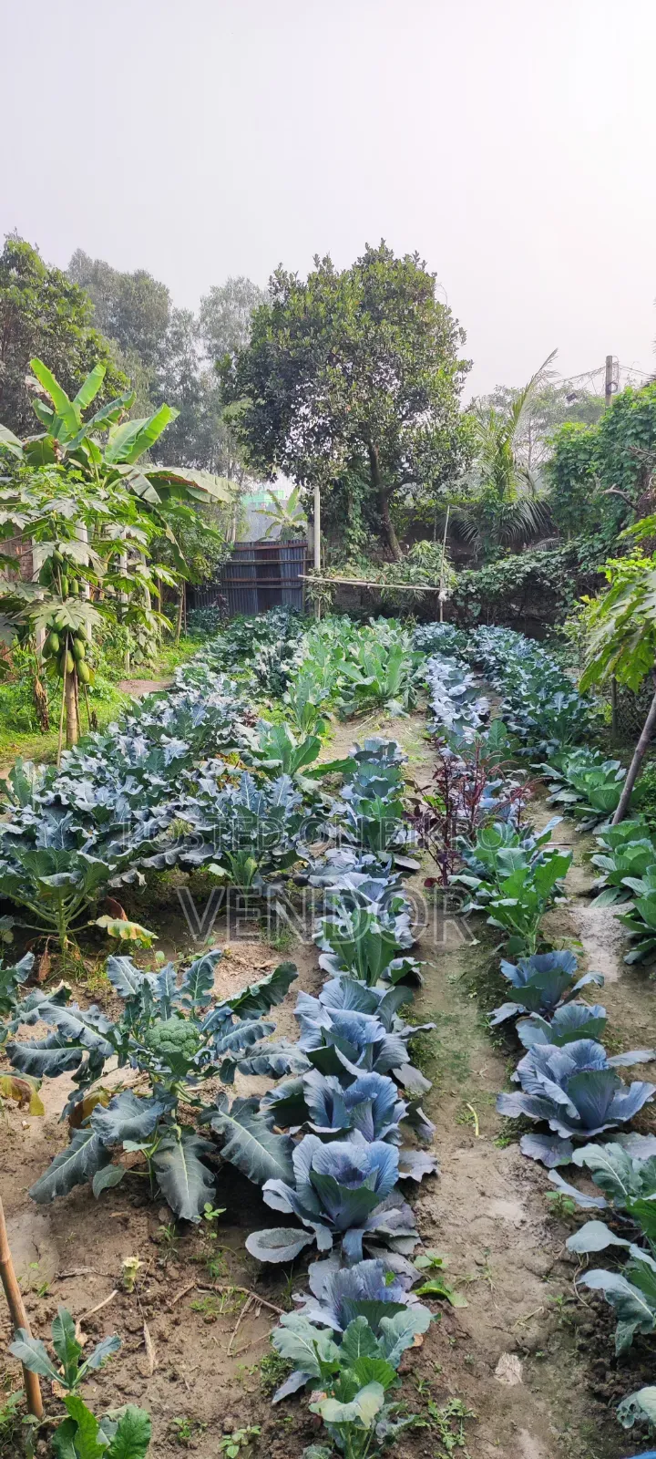 আকর্ষণীয় মূল্যে কেরানীগঞ্জে রাস্তা সংলগ্ন জমি বিক্রয়! ঈদ অফার চলছে!
