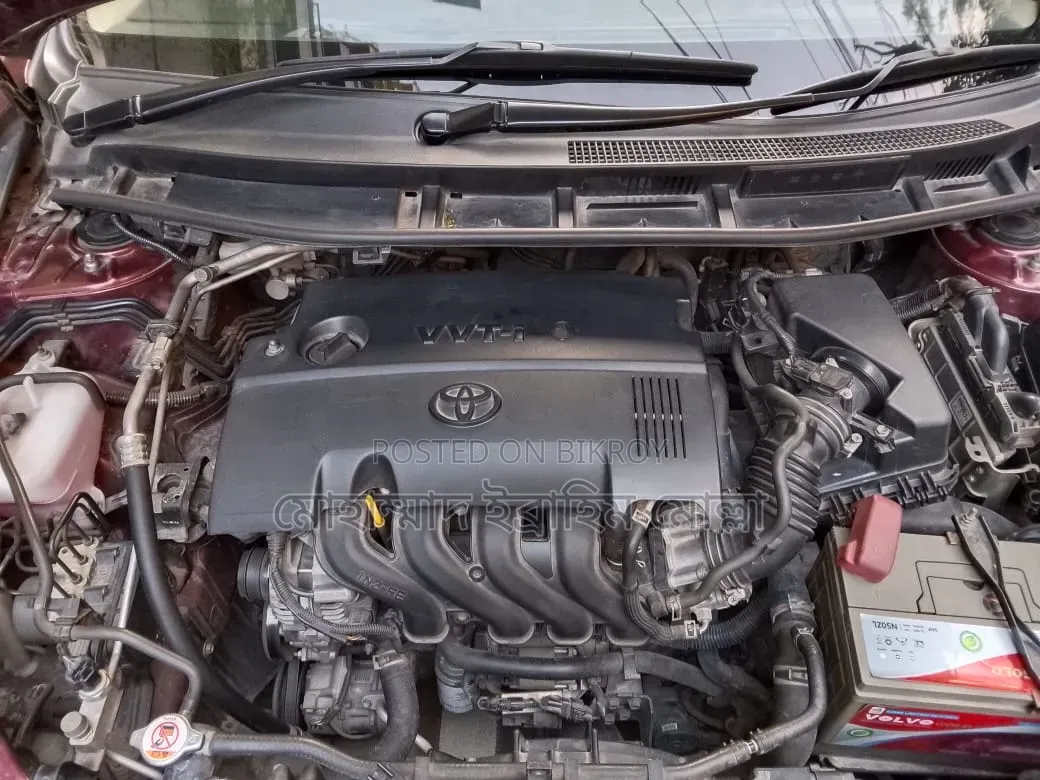 Toyota Allion 2019 Maroon