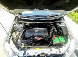 Toyota Axio 2010 Silver