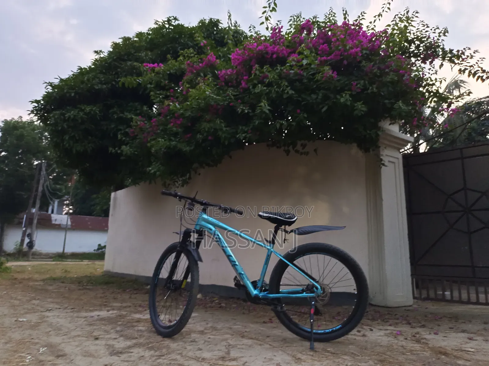 Veloce Shadow Pro 6501 For Sale