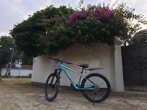 Veloce Shadow Pro 6501 For Sale