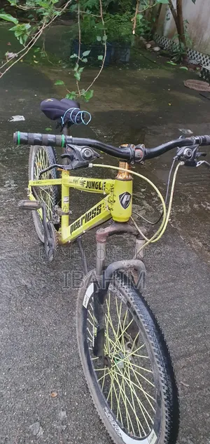 Cycle for Sale