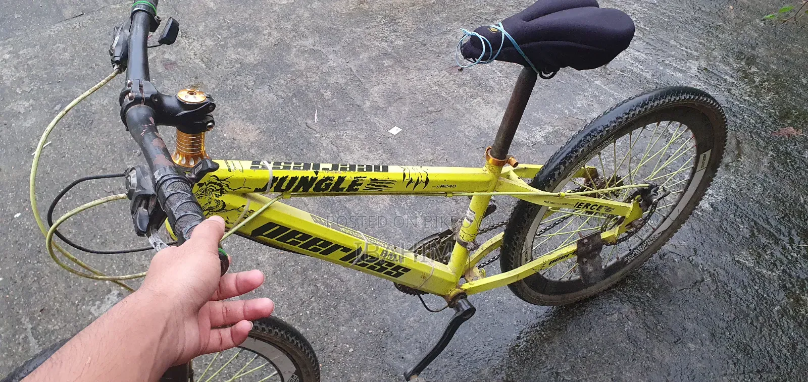 Cycle for Sale