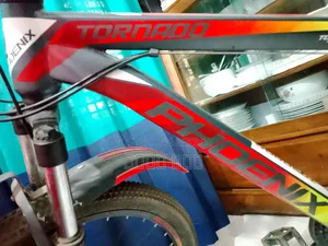 Phoenix Tornado (Mtb Bike)