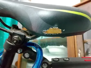 Phoenix Tornado (Mtb Bike)