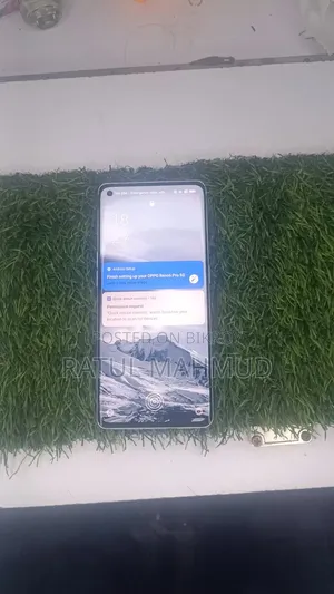 Oppo Reno6 Pro 5G 256 GB Gold