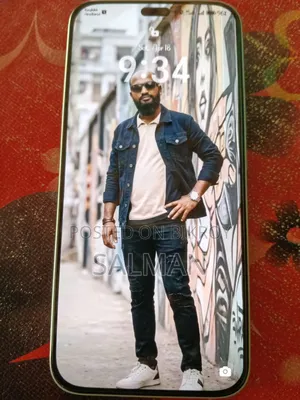 Honor 400 Lite 256 GB Silver