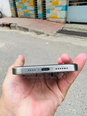 Apple iPhone 15 Pro Max 256 GB Silver