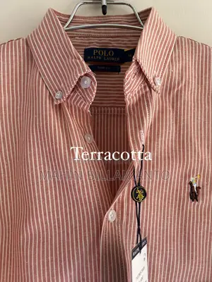 Premium Old Money Shirts