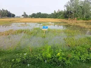 জমি বিক্রি করা হইবে