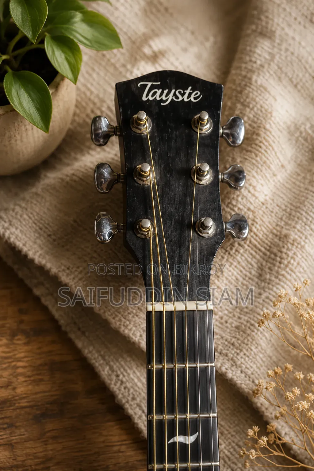 Tayste Guitar
