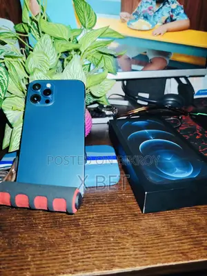 অ্যাপল আইফোন ১২ প্রো ২৫৬ জিবি ব্লু