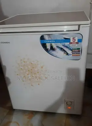Conion Deep Fridge (Made in China)