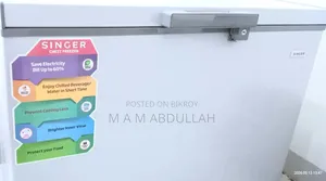 ডিপ ফ্রিজ সিঙ্গার