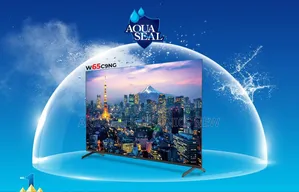 Sony Plus 43-Inch Smart Television with 1920 x 1080 Resolution