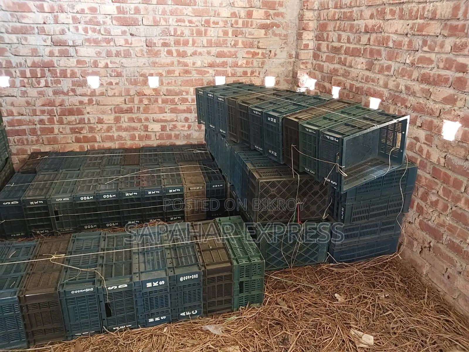 Plastic Crate - Half Plastic Crate