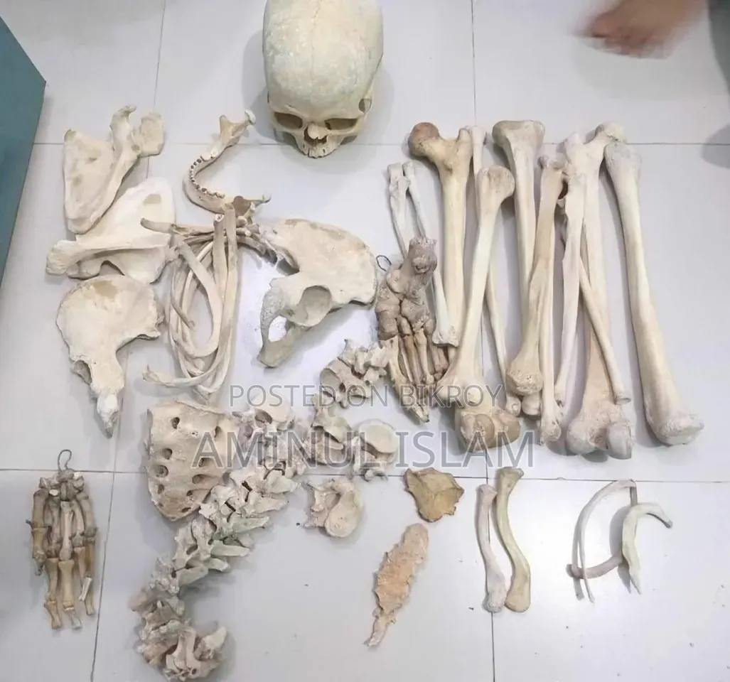 মেডিকেল শিক্ষার্থীদের হাড়
