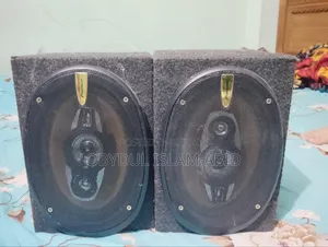 Pioneer Speaker