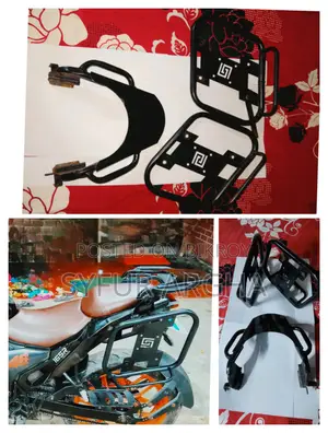Back Carrier and Saddle Stay