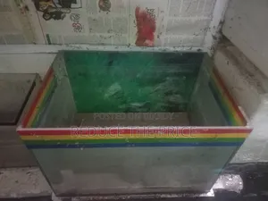 Fish Aquarium