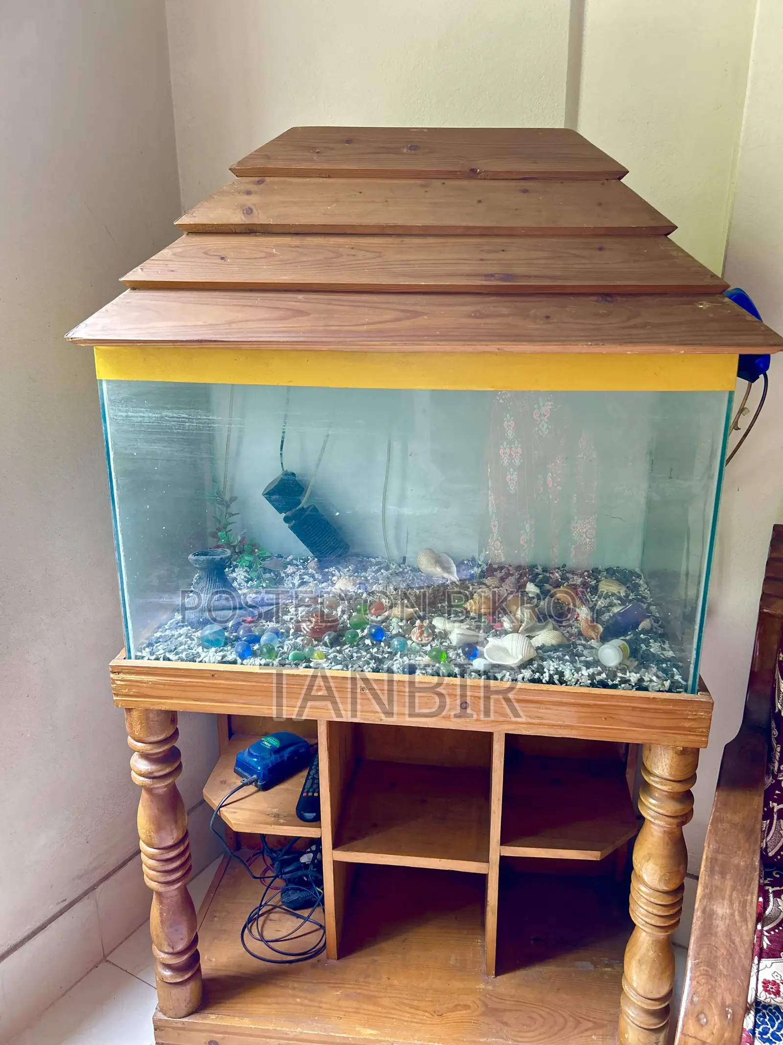 Fish Aquarium