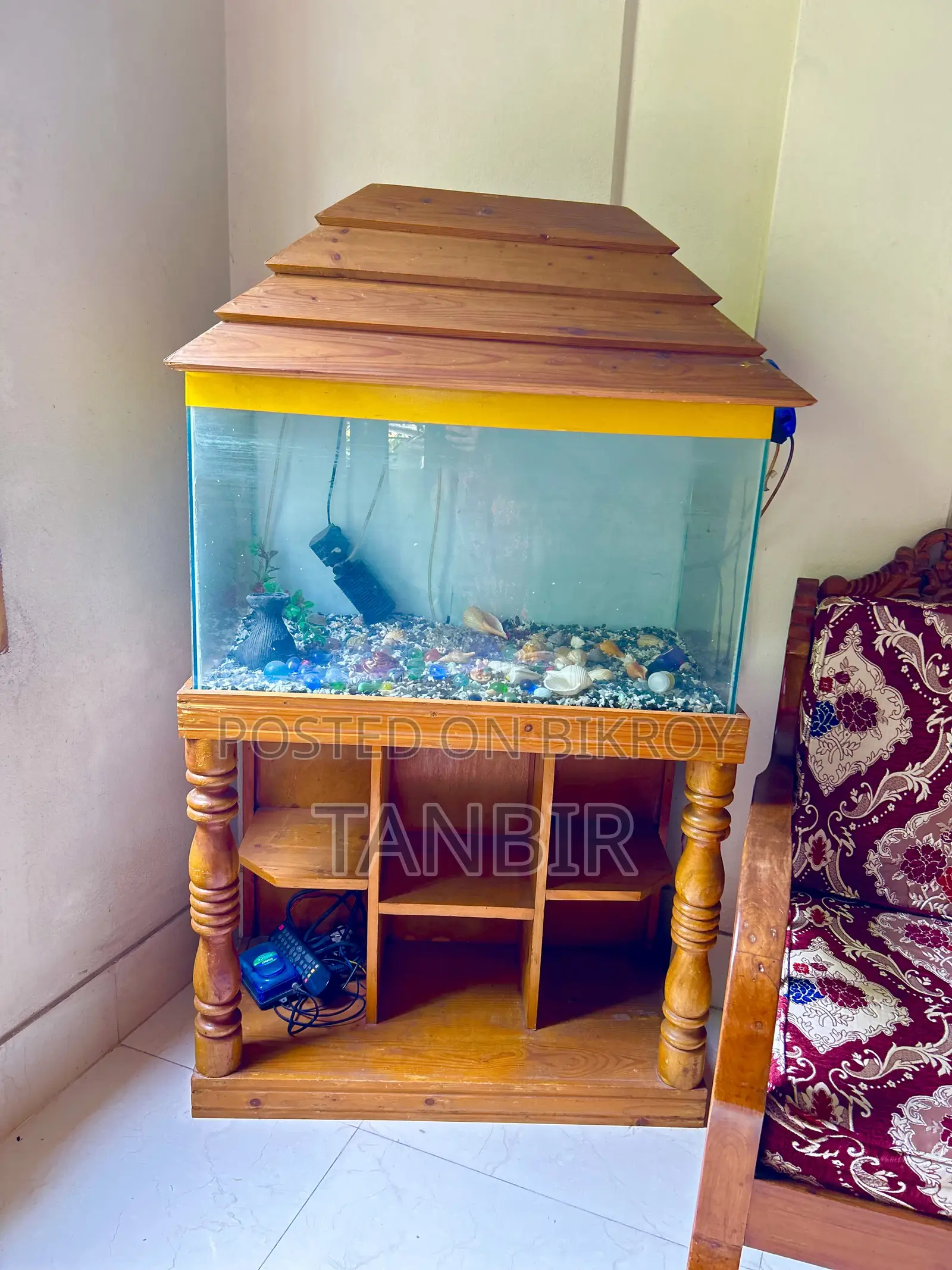 Fish Aquarium